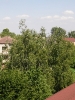 Výhledy 2011_35