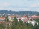 2011