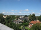 2011_8
