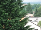 2011_20