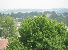 2011_25