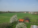 Výhledy 2011_13