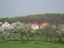 Výhledy 2011_34