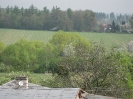 Výhledy 2011_42