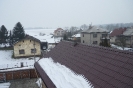 Skotnice