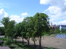 Štěpán
