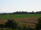 Výhledy_24