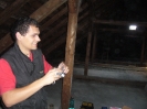 Rekonstrukce 8.7.2006_5