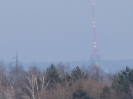 Směr 