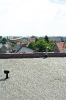 Výhledy 2010_17