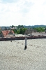 Výhledy 2010_18