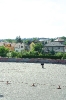 Výhledy 2010_21