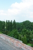 Výhledy 2010_31