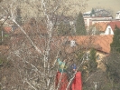 Ostatní_25