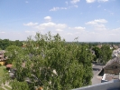 Stožár 