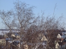 Výhledy_2